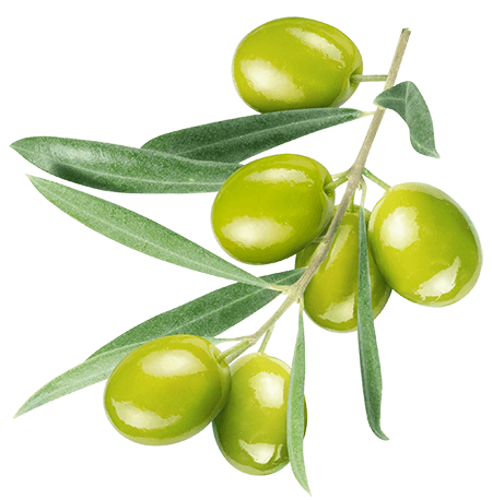 Spanische grüne Oliven